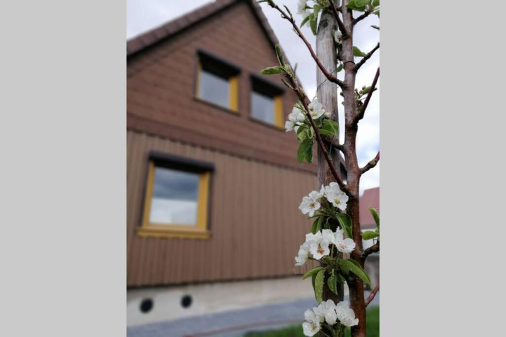 Harzhaus Ida Villa Elbingerode  Eksteriør bilde